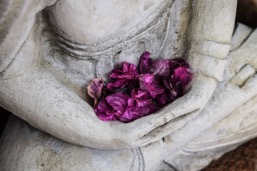 Mediteren, meditatie, Amersfoort, Inspiritus